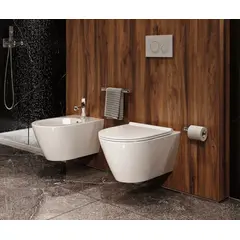 SANINDUSA Πακέτο Λεκάνη κρεμαστή Sanlife rimflush με κάλυμμα S/C - Κρεμαστές  στο  frantzisoe.gr