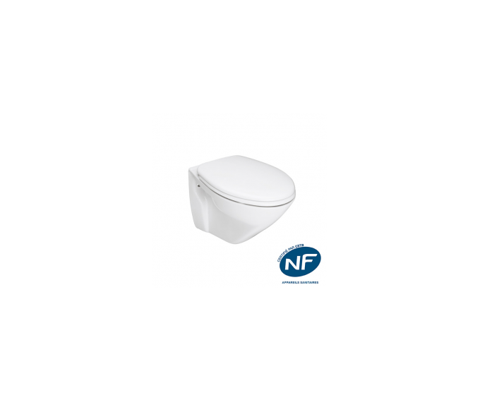 SANINDUSA Πακέτο Λεκάνη κρεμαστή Cetus rimflush με κάλυμμα S/C - Κρεμαστές  στο  frantzisoe.gr
