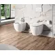 SANINDUSA Πακέτο Λεκάνη κρεμαστή Sanibold rimflush με κάλυμμα S/C - Κρεμαστές  στο  frantzisoe.gr